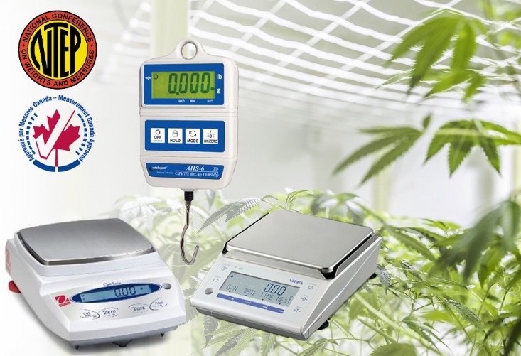 Marijuana Scales, Cannabis Scales